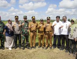 Dukung Arahan Presiden, Lampung Fokus Tingkatkan Produksi Padi Nasional